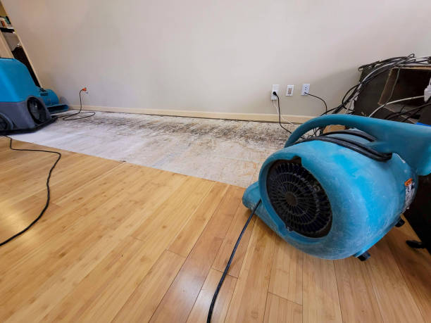 Professional Flood Damage Cleanup technician working in Davisburg, MI